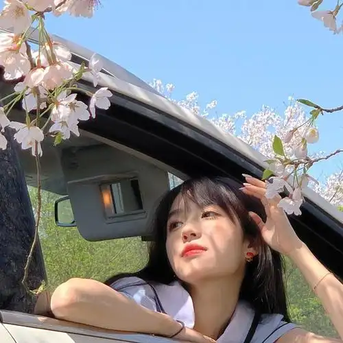 求这个美女车窗头像!感谢感谢么么哒!