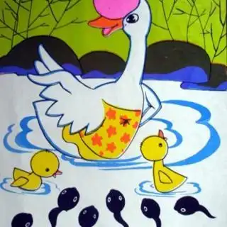 小蝌蚪找妈妈简笔画配文字