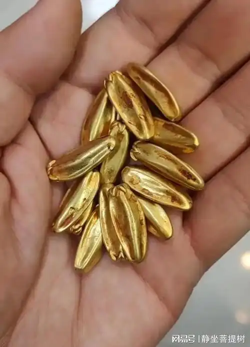 古玩意"金瓜子",有人见过吗?