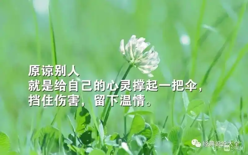 总是这样,一瞬间想通了,释然了