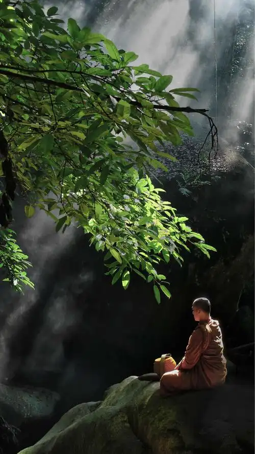 深山老林是声闻乘僧人打坐内观的好地方