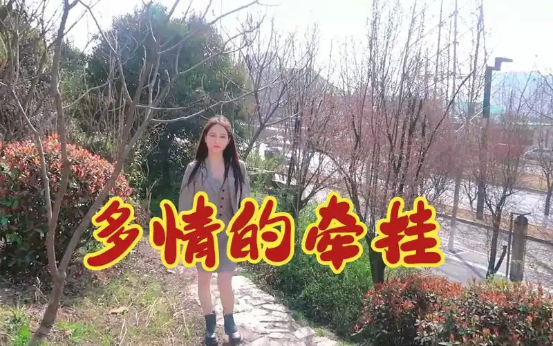 经典老歌:《多情的牵挂》美妙伤感,曲风清新活泼