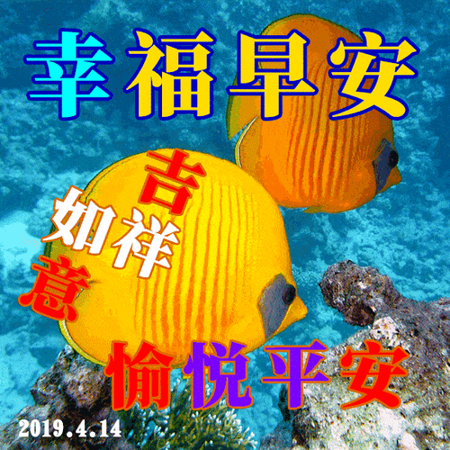 祝福早上好动态图片大全新版最新早上好图片套图