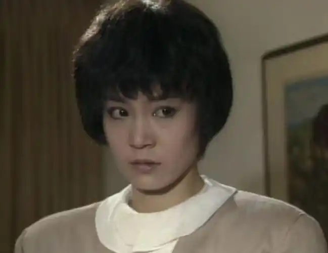 海鸥飞处彩云飞