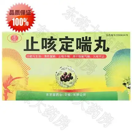东芝堂 止咳定喘丸 9gx6袋2168