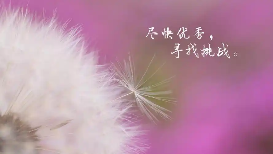 朋友圈正能量带字说说配图