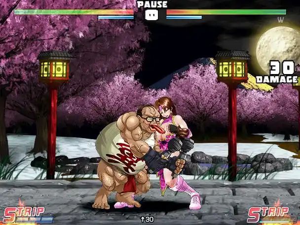 图片[6]-爆衣战士5:黑暗武斗会/strip fighter 5: chimpocon edition