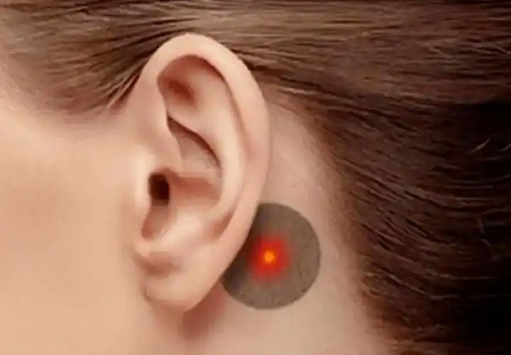 耳朵里像养了一窝蜜蜂,时时刻刻响个不停,吵得头昏脑涨,听不清别人