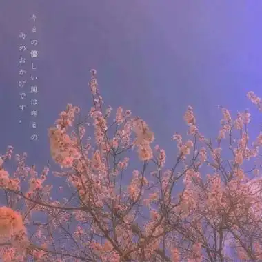 老人头像高清图片适合50岁60岁老人的微信头像图