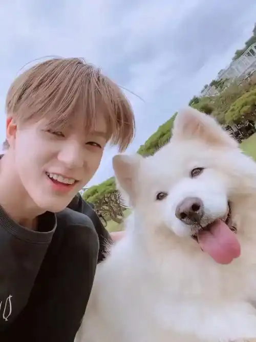 有没有nct李帝努jeno的图特别喜欢他的笑有没有笑的图