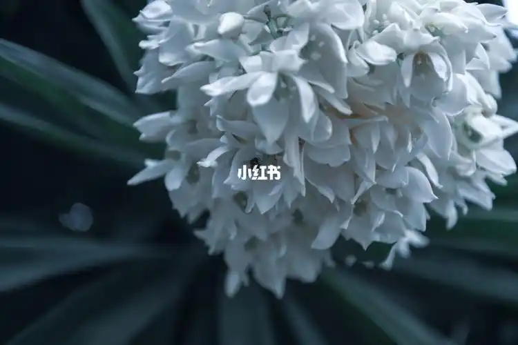 一组ins风壁纸分享