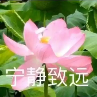 微信头像图片2020荷花带字系列荷花带字微信头像高清大全集