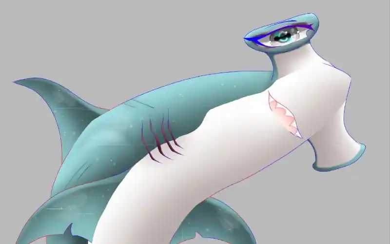 饥饿鲨世界无沟双髻鲨绘画过程