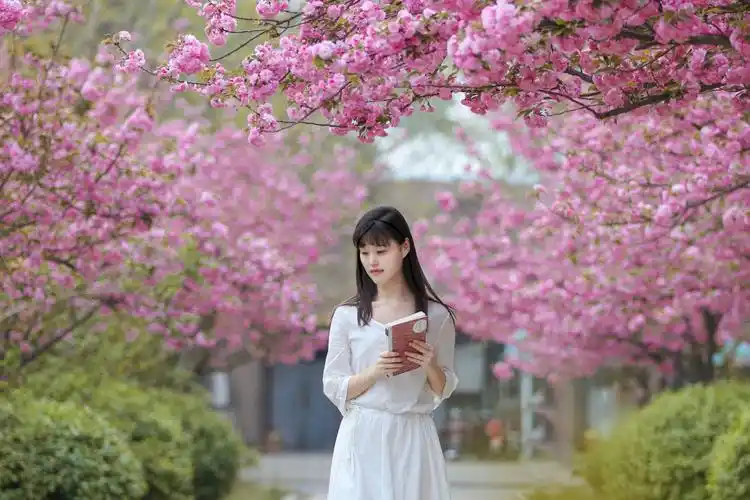 写美篇          阅读 6071 投诉文章 热门评论  0 回眸一笑 樱花朦胧