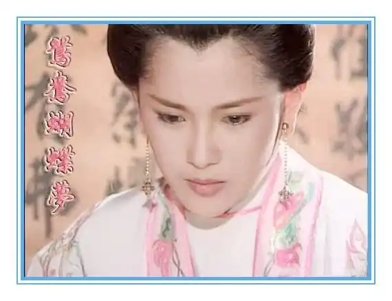 80后小时候看的包青天电视剧(这部90年代初经典长篇单元剧包青天)(9)