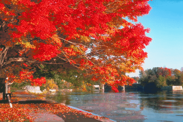 600_399gif 动态图 动图