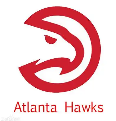 亚特兰大老鹰队