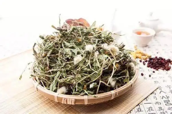 嗓子痒咳嗽咽炎真心安利蒲公英泡水喝