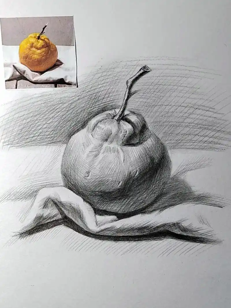 简单易学的素描静物丑橘画法.#画画 #素描 #零基础教学 # - 抖音