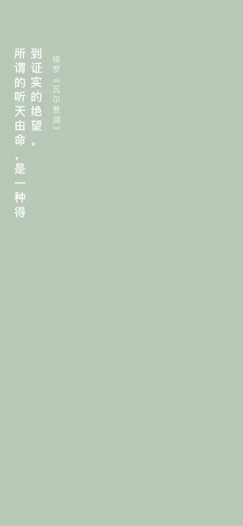 纯色 素材 壁纸