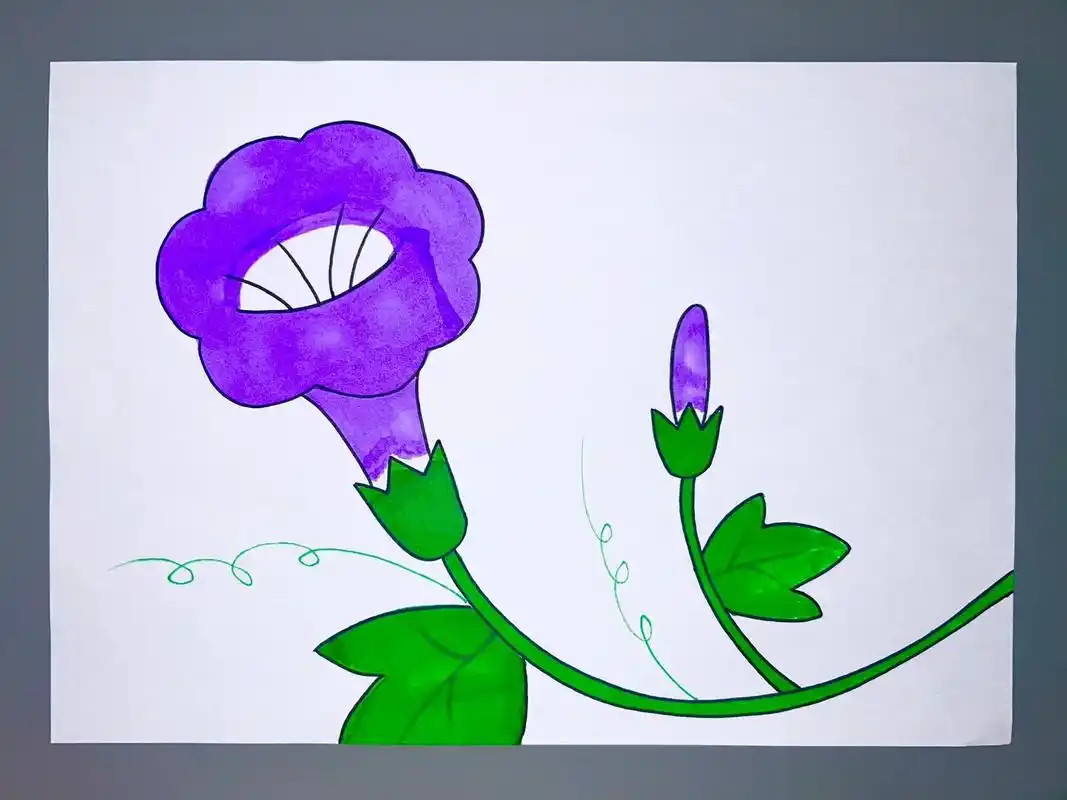 牵牛花简笔画#画花 #幼儿美术 #花朵简笔画#图文伙伴计划 - 抖音