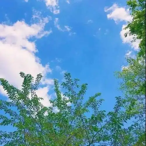 哪里有好看的微信封面背景图呀