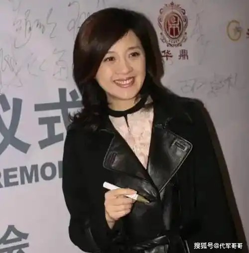 许戈辉_丁健_妻子