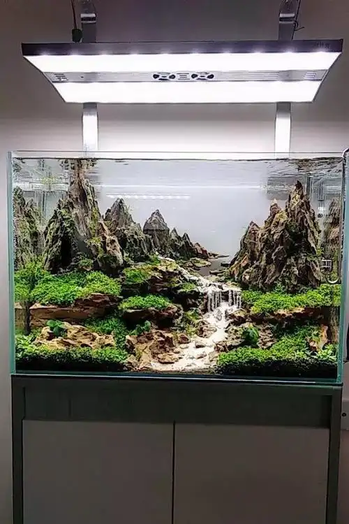 草缸造景教程:中式美感的高山瀑布景开缸过程赏析