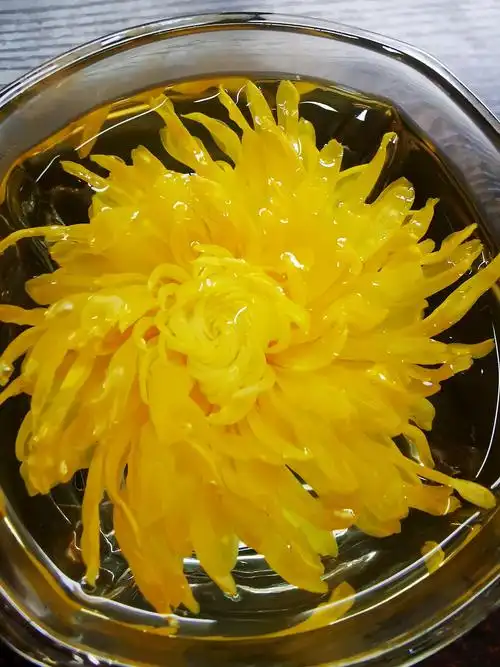 菊花茶菊花大皇菊泡茶饮品玻璃杯泡菊花