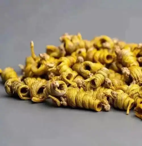 霍山石斛作为九大仙草之首,具有养胃生津,滋阴除热的功效,可以用于