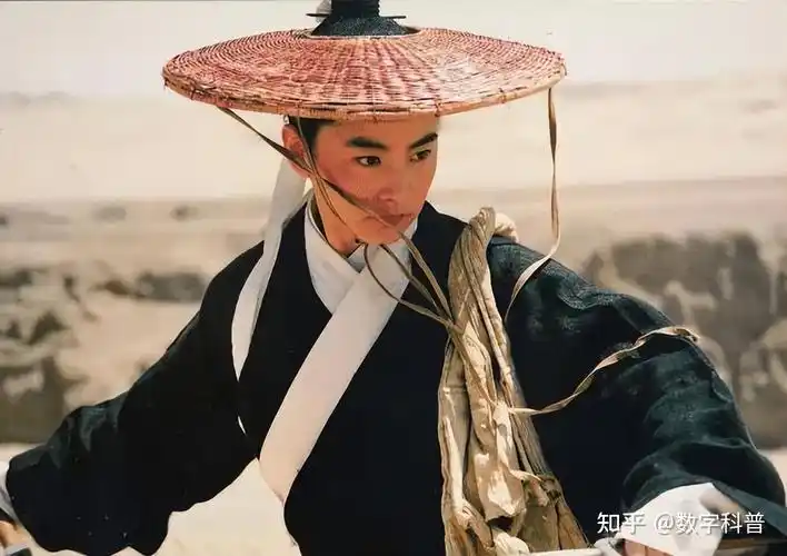 但是《金玉良缘红楼梦》中林青霞客串的贾宝玉,女扮男装的角色却是