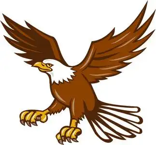 俯冲直下夜鹰图片-俯冲直下夜鹰素材-俯冲直下夜鹰插画-摄图新视界