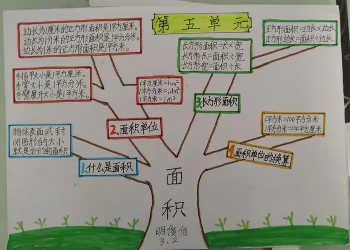 数学第五单元面积知识网络图