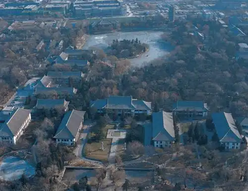 北大教授90的人都不会做简历