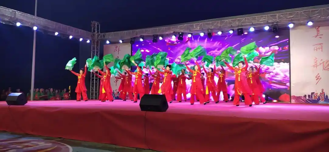 2020年正阳县"群星耀中原·美丽新乡村"广场舞大赛