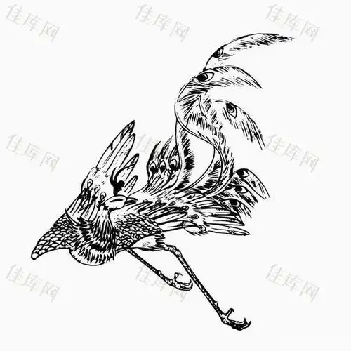 干货!一组凤凰白描线稿送给喜欢绘画的你,快收藏起来临摹吧