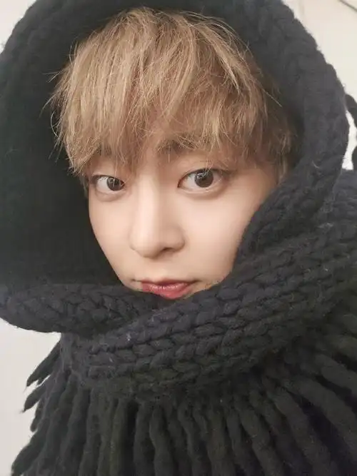 金珉锡圈饭妖精##金珉锡