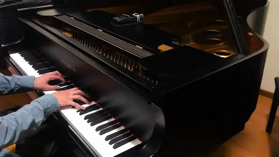 亚洲最专业造琴大户入驻b站国内外各大钢琴名家亲临来感受一下peter