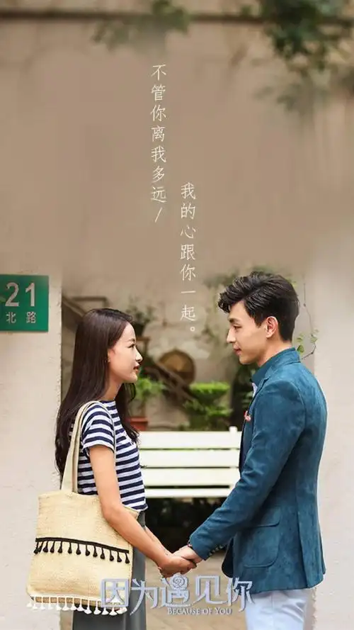 因为遇见你情侣版剧照