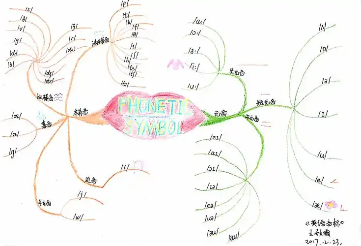 【博颖教育:思维导图培训班】王秋霜第5幅《音标》