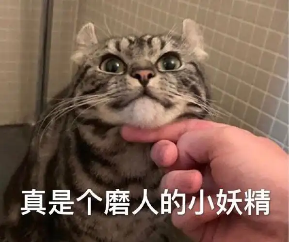 是个磨人的小妖精你真磨人呆萌憨憨gif动图_动态图_表情包下载_soogif