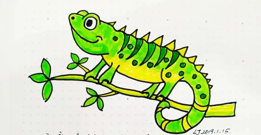 绿色蜥蜴的简笔画