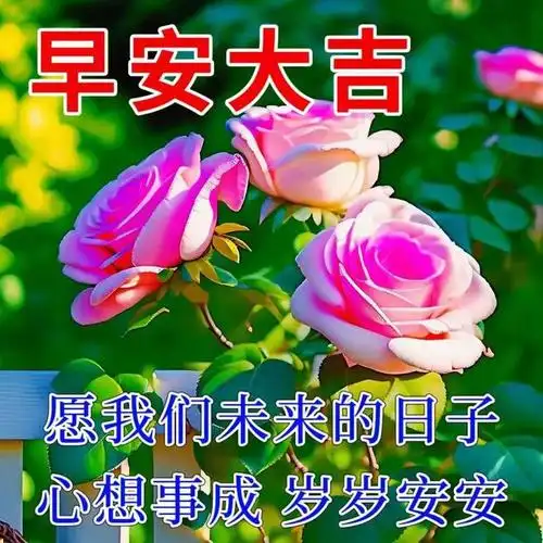 早安温暖问候祝福图片大全|快乐|清晨|晨曦|好心情|早上好_网易订阅