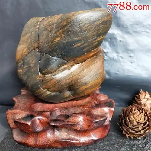 天然水冲原石观赏石奇石《木化石硅化木》小摆件