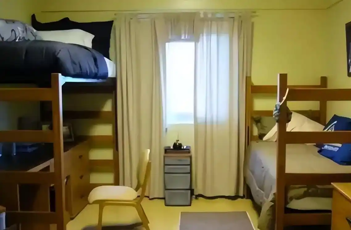 985博士生晒宿舍照片,与留学生宿舍反差明显,国内学生欲哭无泪