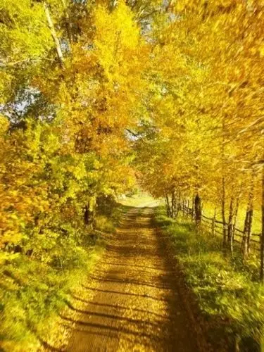 路# 唯美 小清新 治愈 大气磅礴 摄影 人物 植物 怀旧      风景