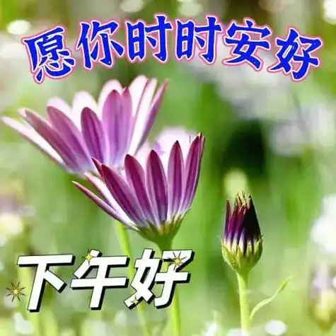 下午好图片大全下午好祝福语图片下午好问候图片