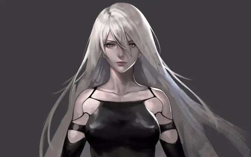 带会员专享丝滑120帧视频壁纸a2尼尔机械纪元nierautamata