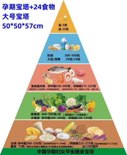 黛博拉仿真食品中国居民平衡膳食宝塔模型健康食物营养金字塔交换份