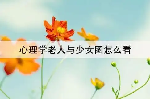 心理学老人与少女图怎么看(心理学50张诡异图片 50个最准心理测试图附